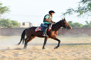 Delhi Public International School-Horse riding